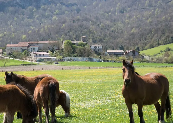 Casa vacanze La Morada De Andoin